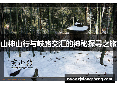 山神山行与岐路交汇的神秘探寻之旅