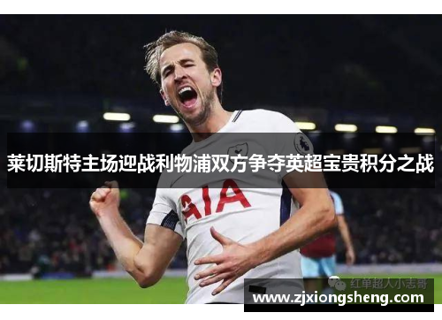 莱切斯特主场迎战利物浦双方争夺英超宝贵积分之战